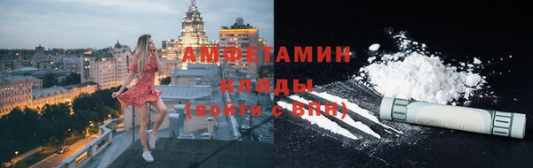 стафф Алексин