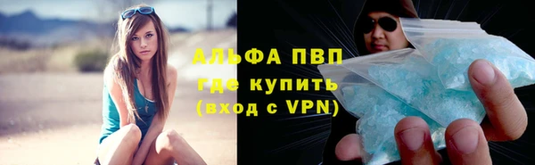 стафф Алексин