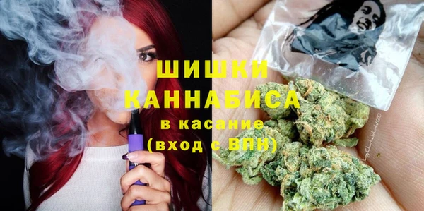 стафф Алексин