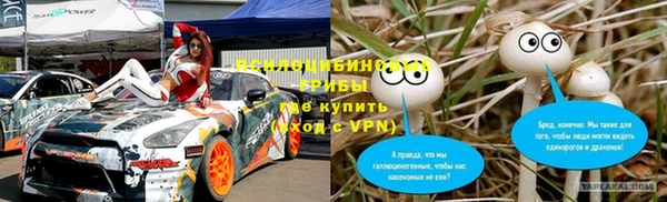 стафф Алексин
