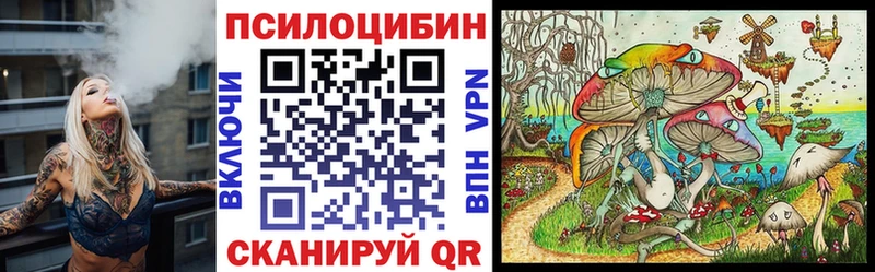 Галлюциногенные грибы Psilocybe Малаховка